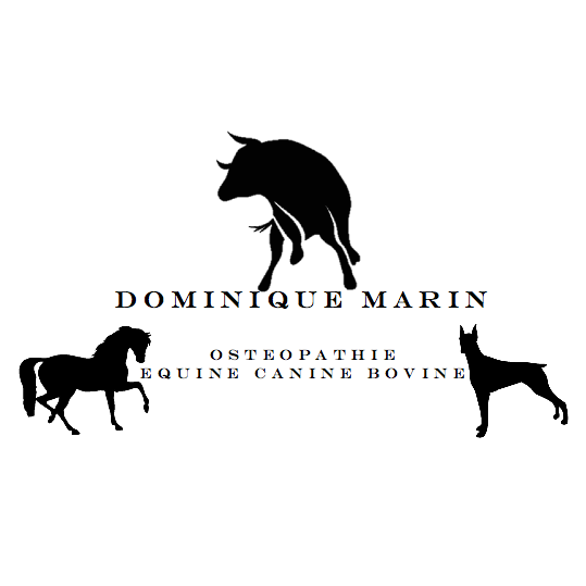 Marin Dominique - Kinésithérapeute Ostéopathe et Ostéopathe equin, canin & bovin