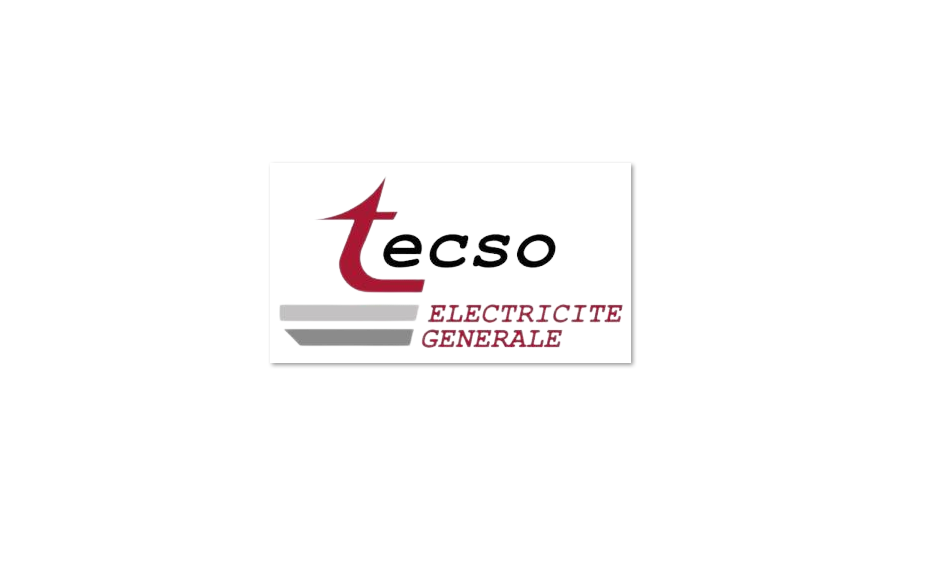 TECSO