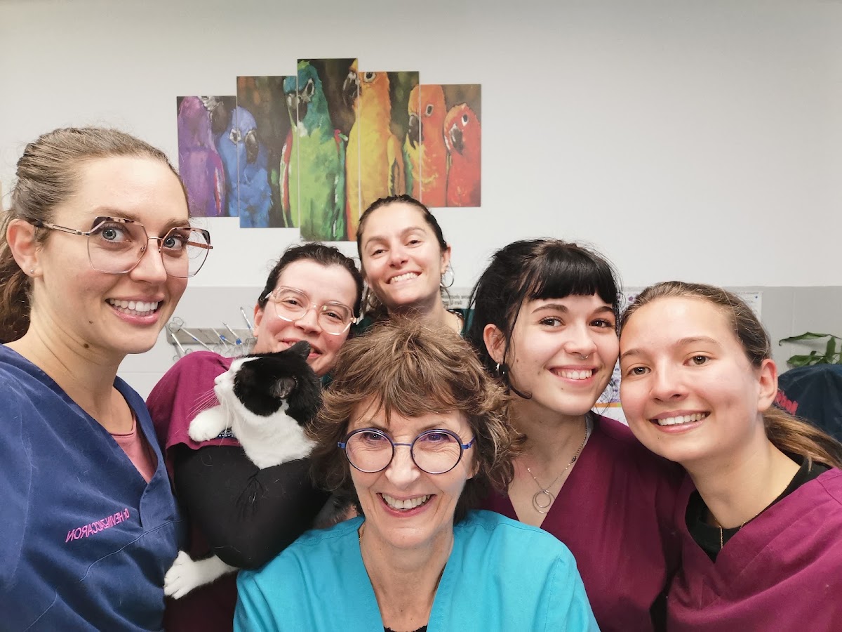 Clinique Vétérinaire St Gilles