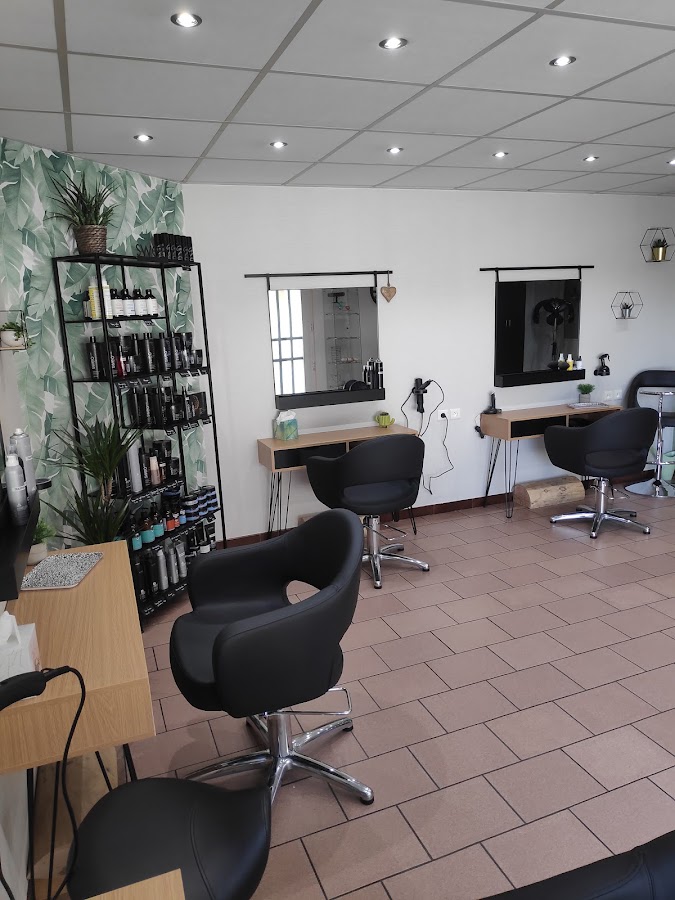 L'Expérience Coiffure