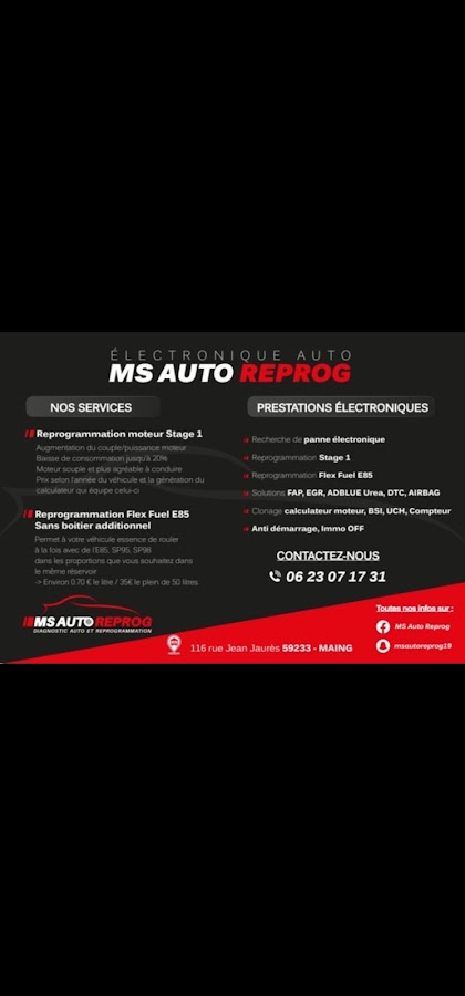 MS Auto Reprog