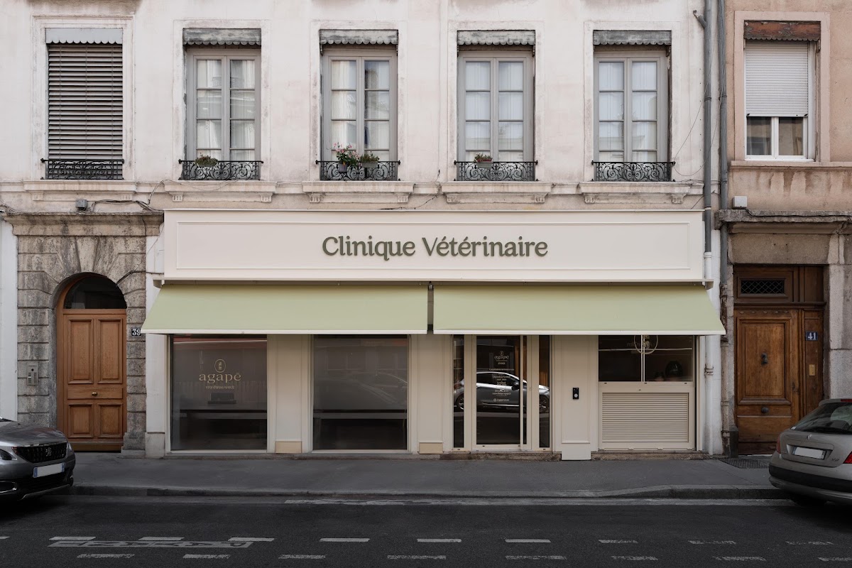 Clinique vétérinaire Agapé