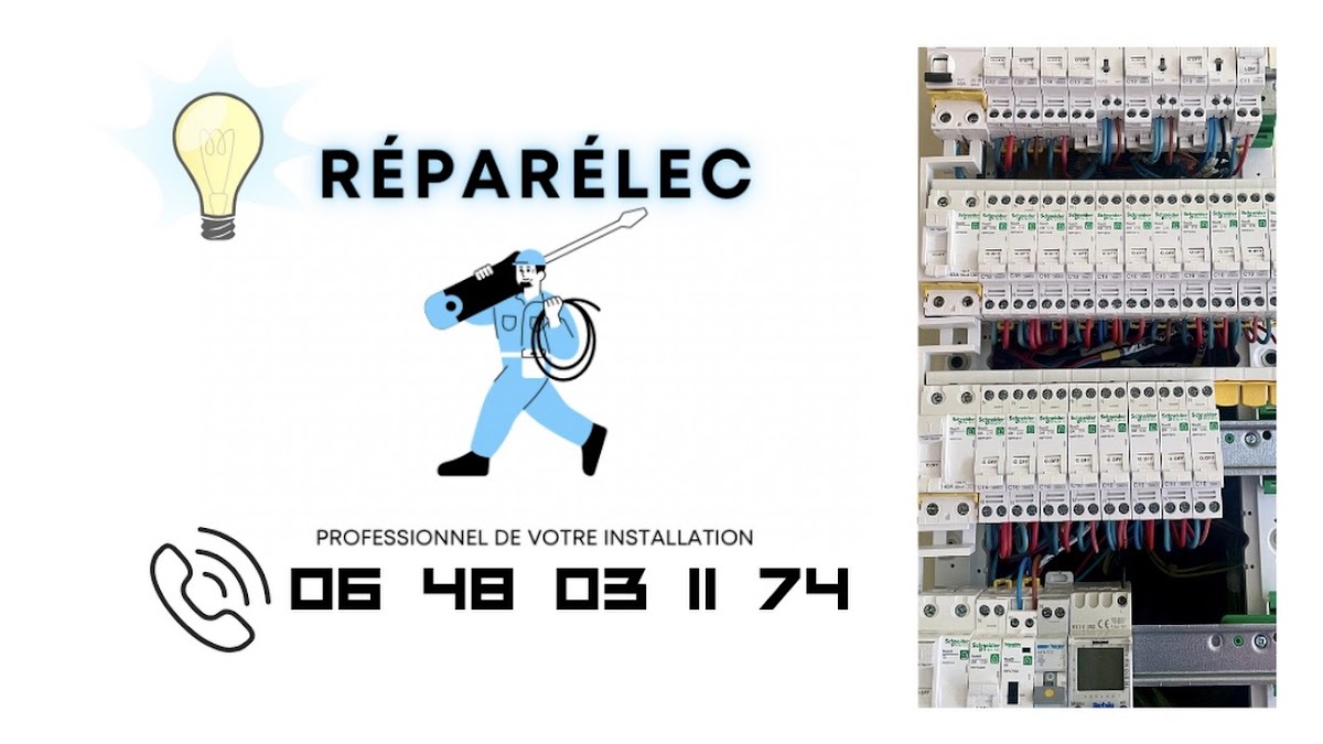 REPARELEC 14