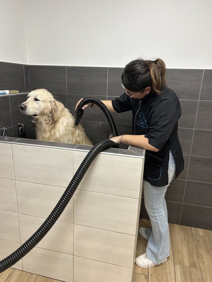 Dog and Cath’s