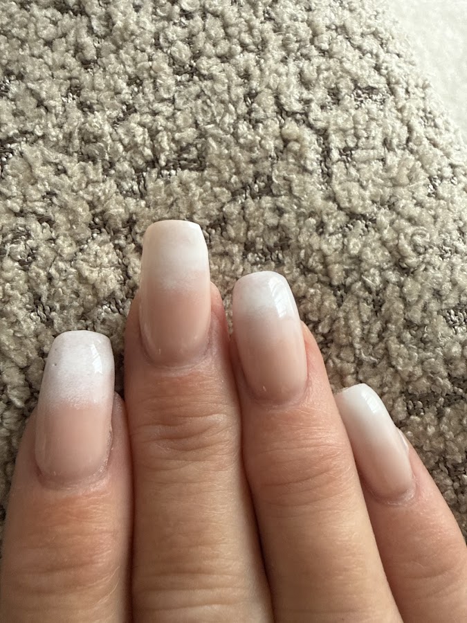 Jelyabeauty