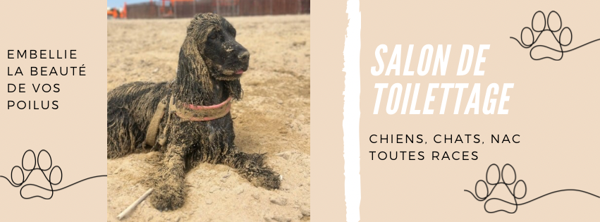 Beauté Canine