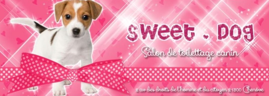 Sweet Dog