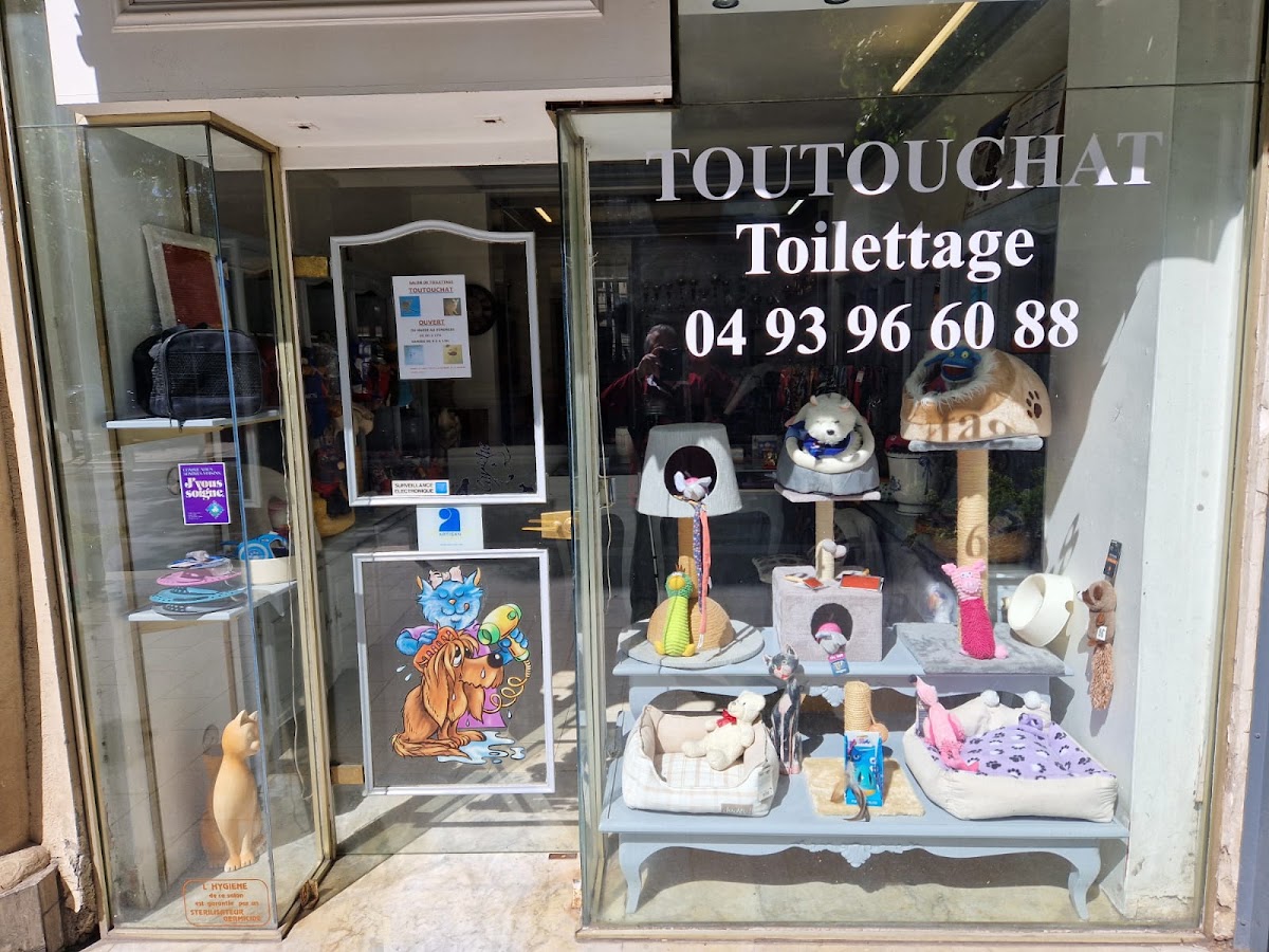 Toutouchat