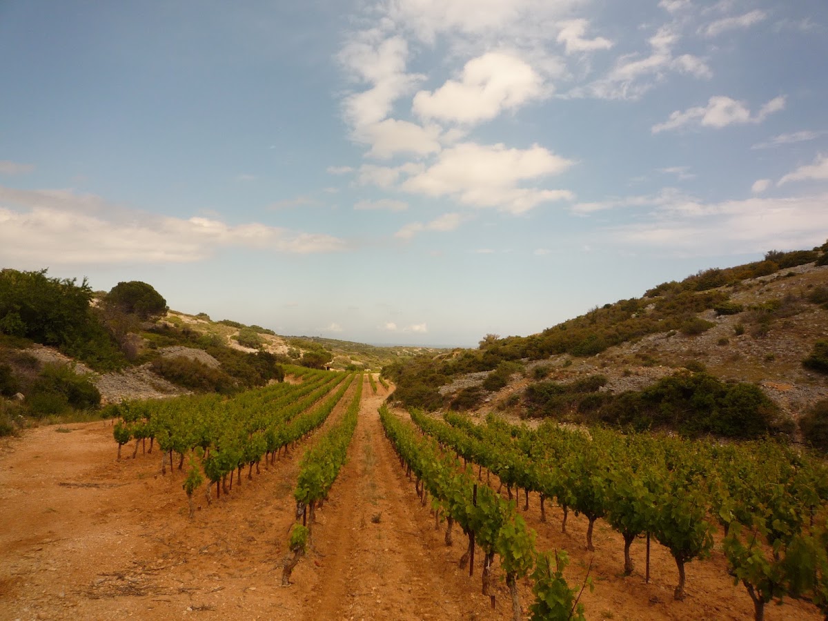 Domaine du vent