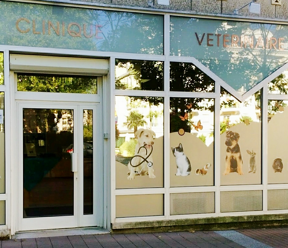 Clinique vétérinaire CVA Le Plessis-Robinson