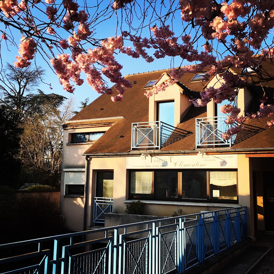 Institut Clementine