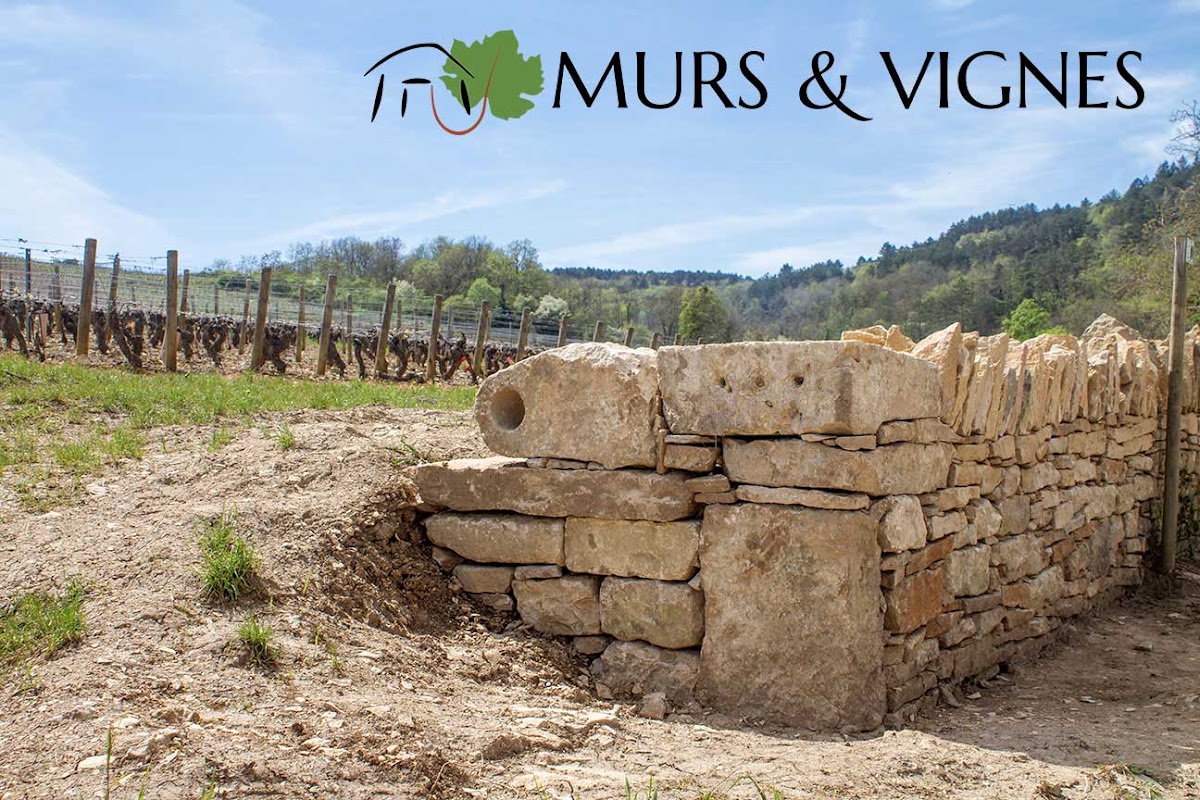 Murs et Vignes