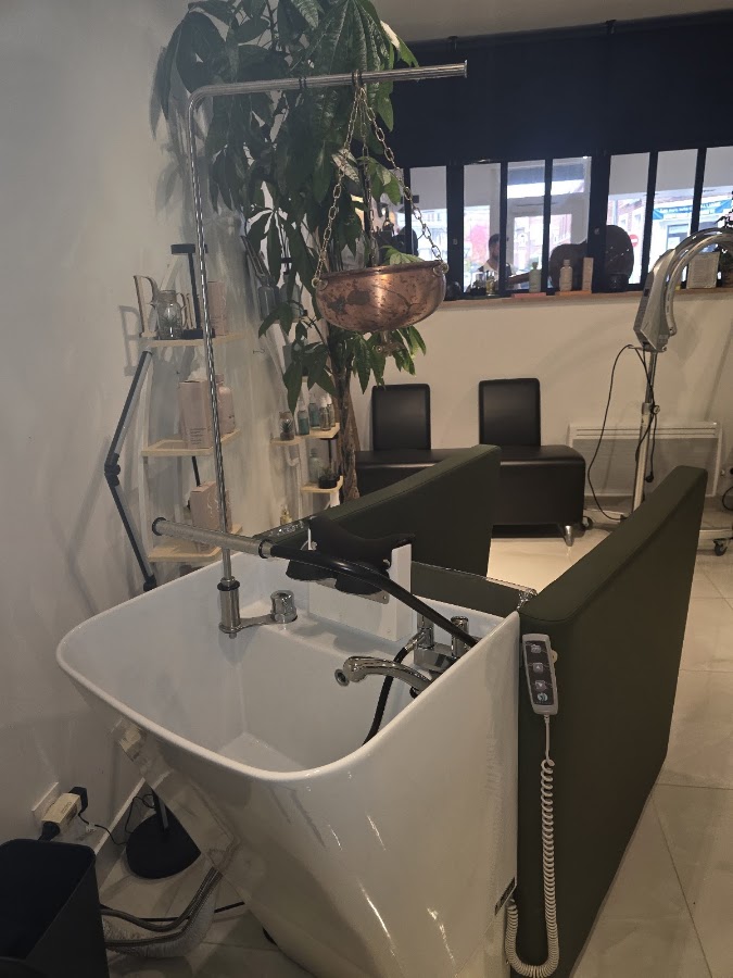 Vanessa coiffure
