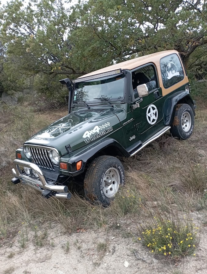 Mg 4x4