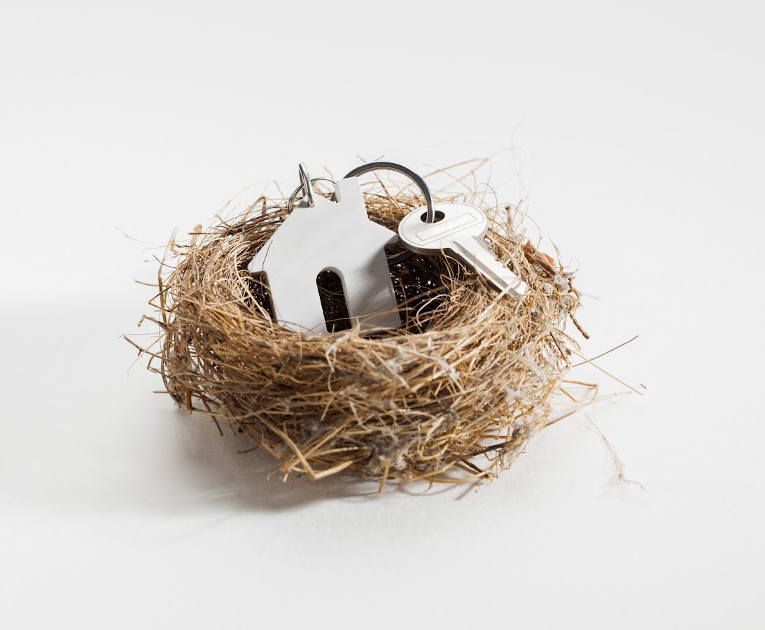 Cozy Nest