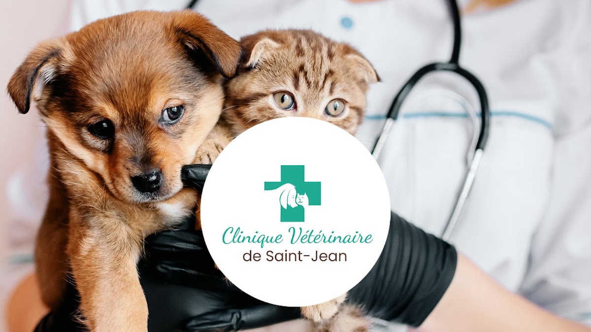 Clinique vétérinaire de Saint-Jean