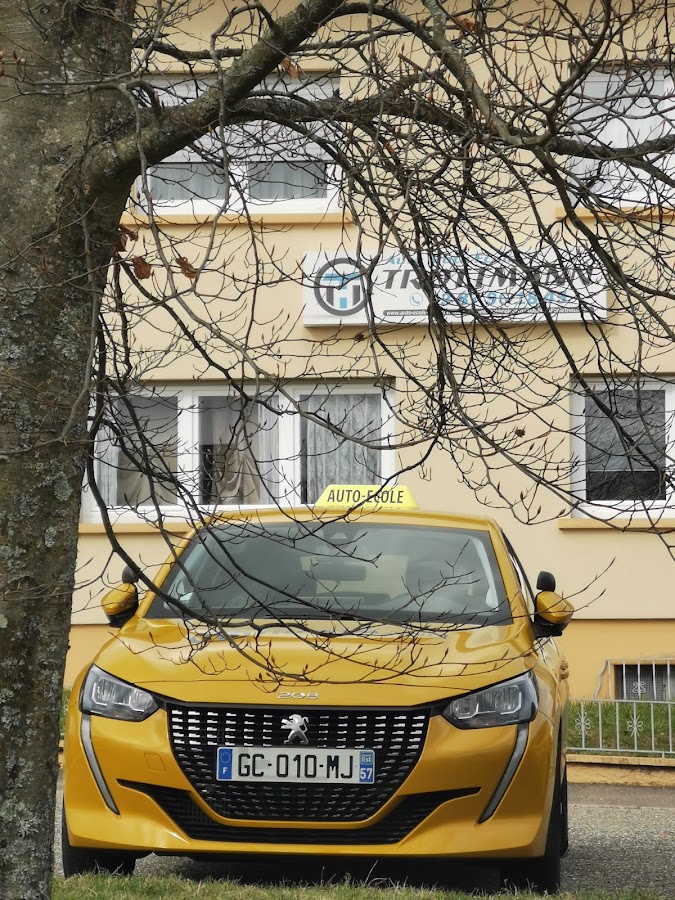 AUTO MOTO ECOLE TROTTMANN