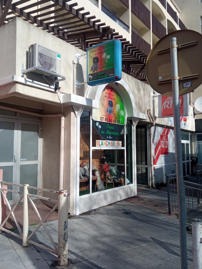 Oasis Des Animaux
