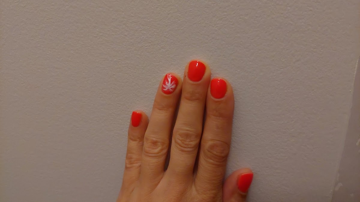 Salon de l'ongle - Pessac