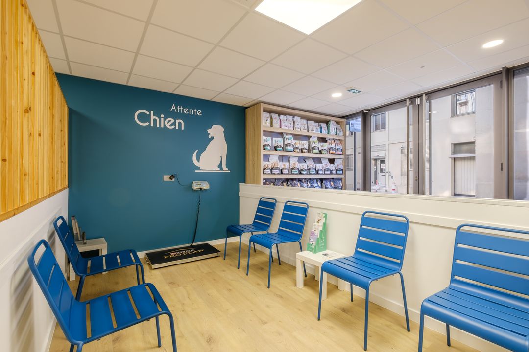 Clinique Berlioz