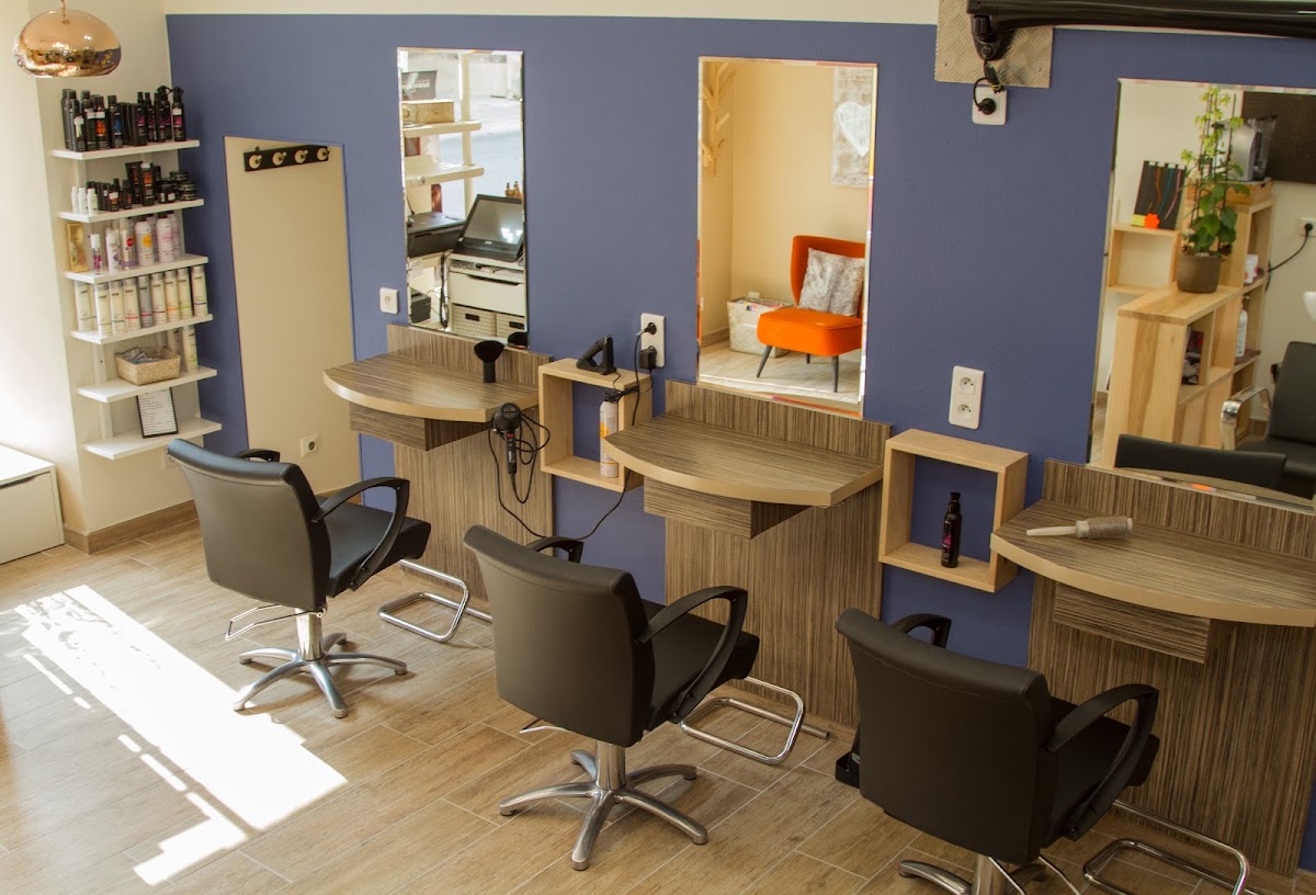 Le Salon De Rachel