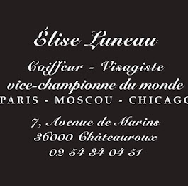 Coiffure luneau