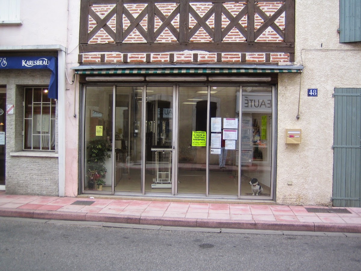 Nicopoil