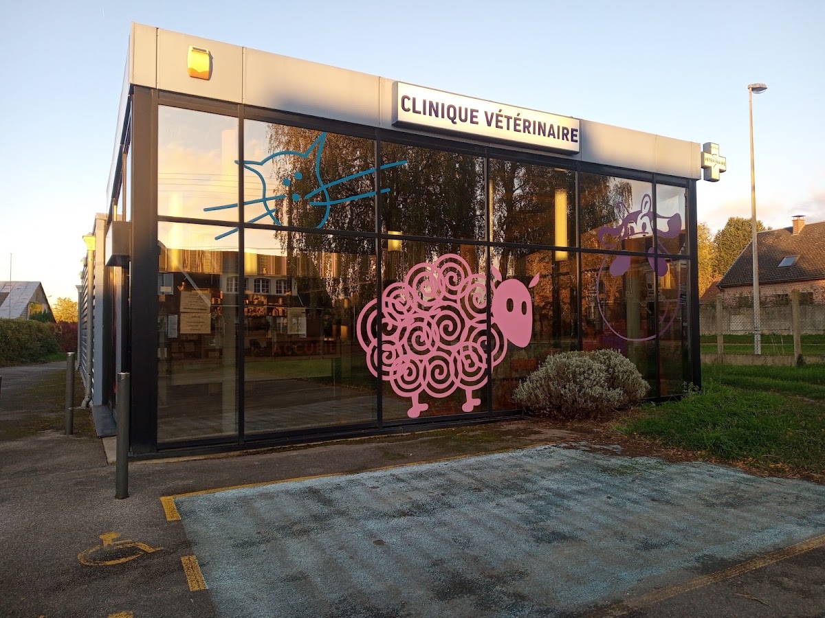 Clinique vétérinaire de la Citadelle - Drs Charles, De Bruijn, Manner