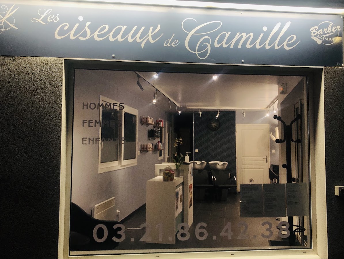 Les ciseaux de camille