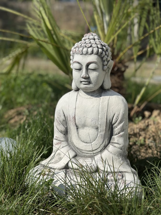 l'instant Zen Energie & Vibration