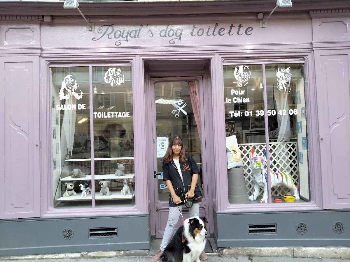Royal S Dog Toilette