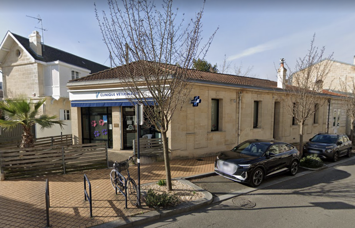 Clinique Vétérinaire du Dr Galabert et Dr Sarramia, à Saint Augustin Bordeaux