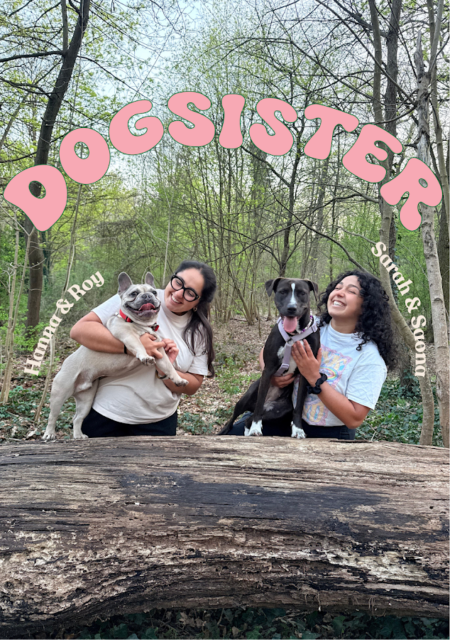 DogSister