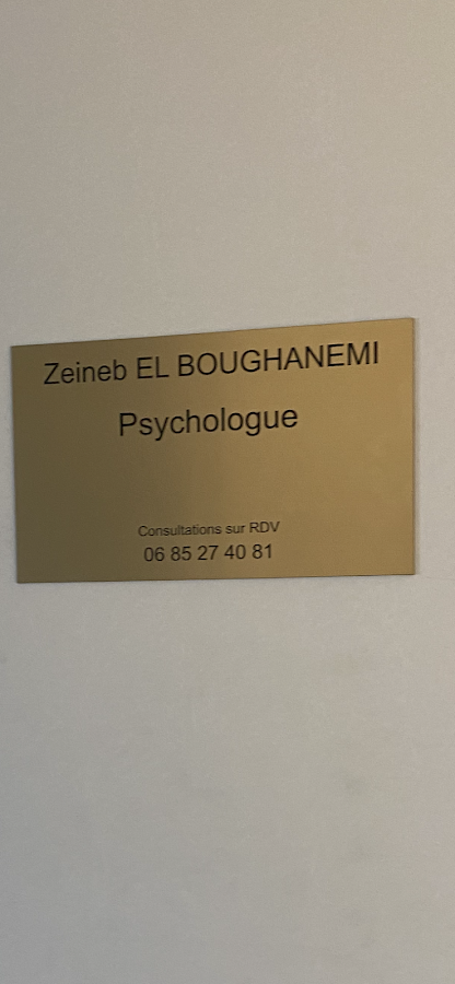 Zeineb EL BOUGHANEMI
