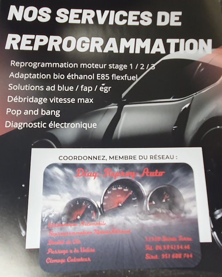 Diag-reprog-auto