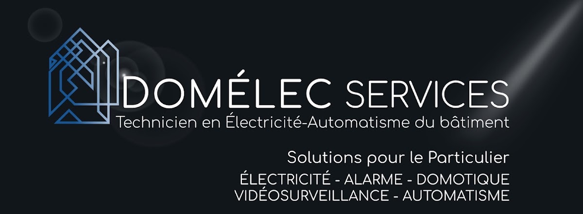 Domelec Services