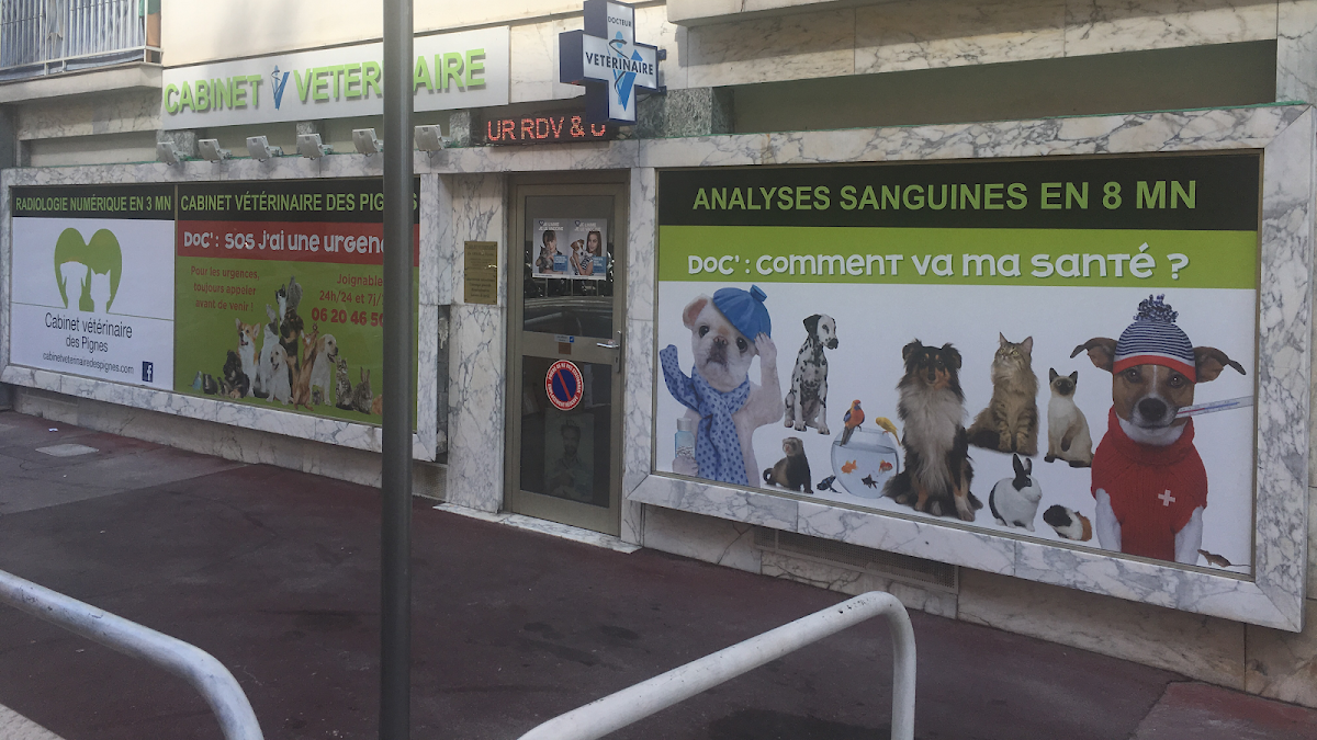 CABINET VETERINAIRE DES PIGNES - Uniquement sur Rendez-Vous - Urgence Joignable 7/7J - Examen Clinique Complet Nice 06