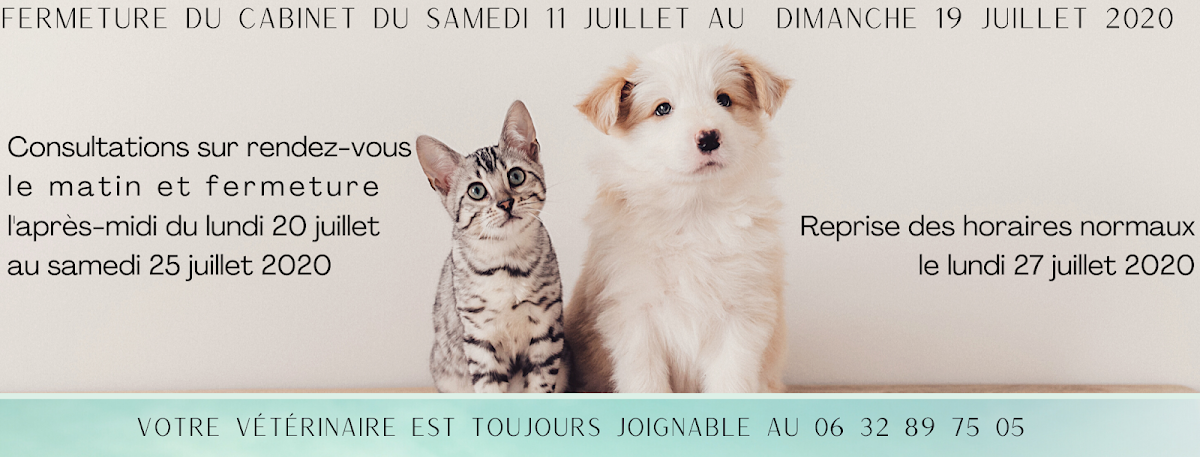 Cabinet vétérinaire des deux caps