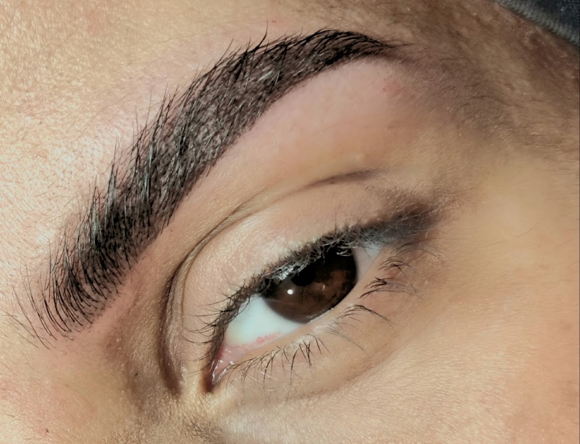 Le Regard de Norda