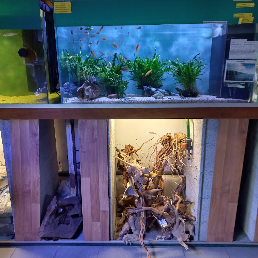 Exo-Club animalerie et toilettage Lyon