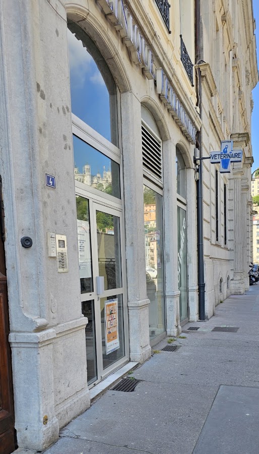 Clinique vétérinaire Bellecour