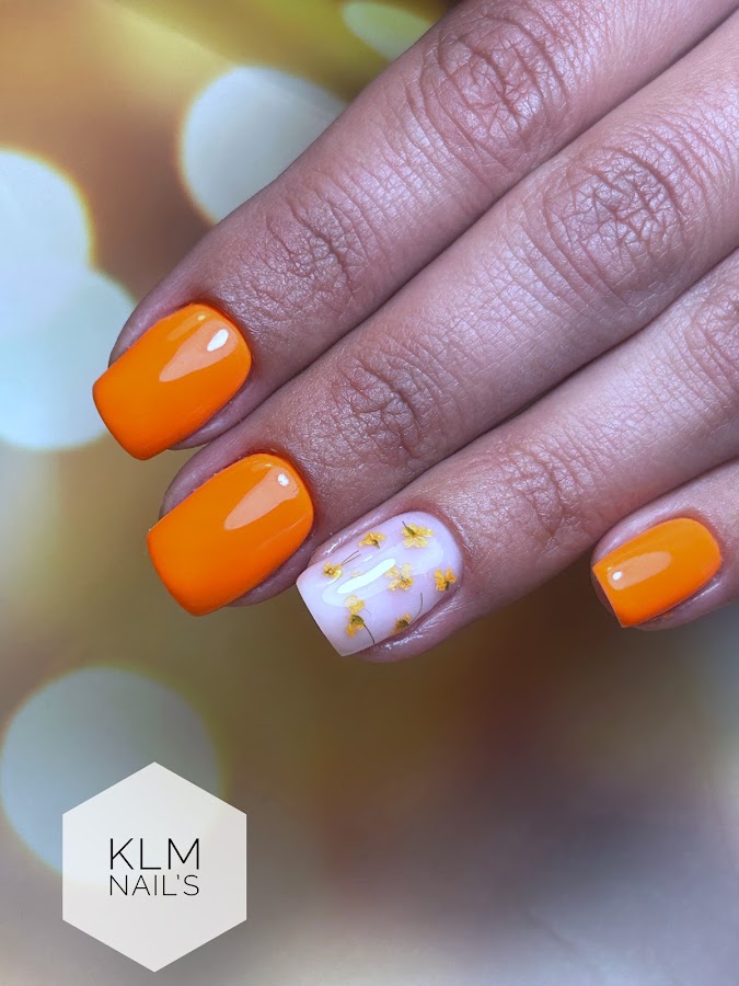 KLM NAIL'S