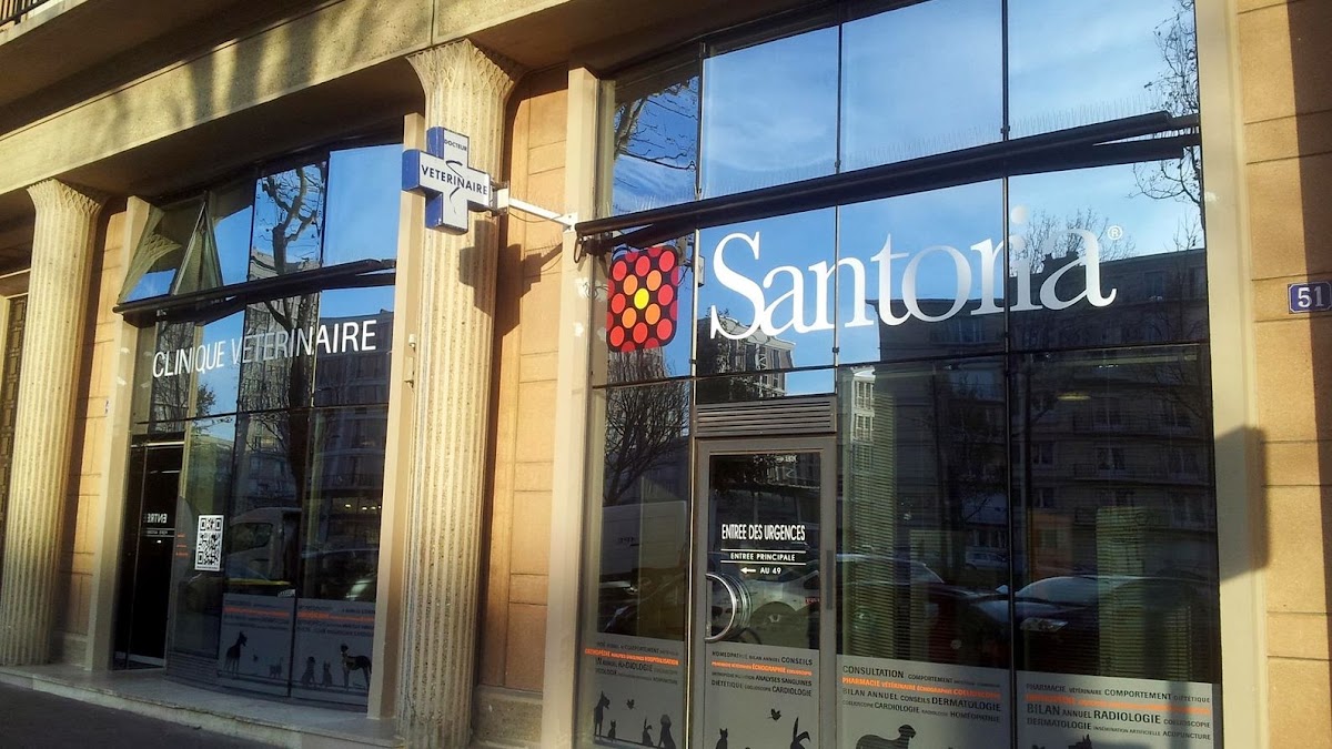 Santoria Clinique Vétérinaire Saint Roch