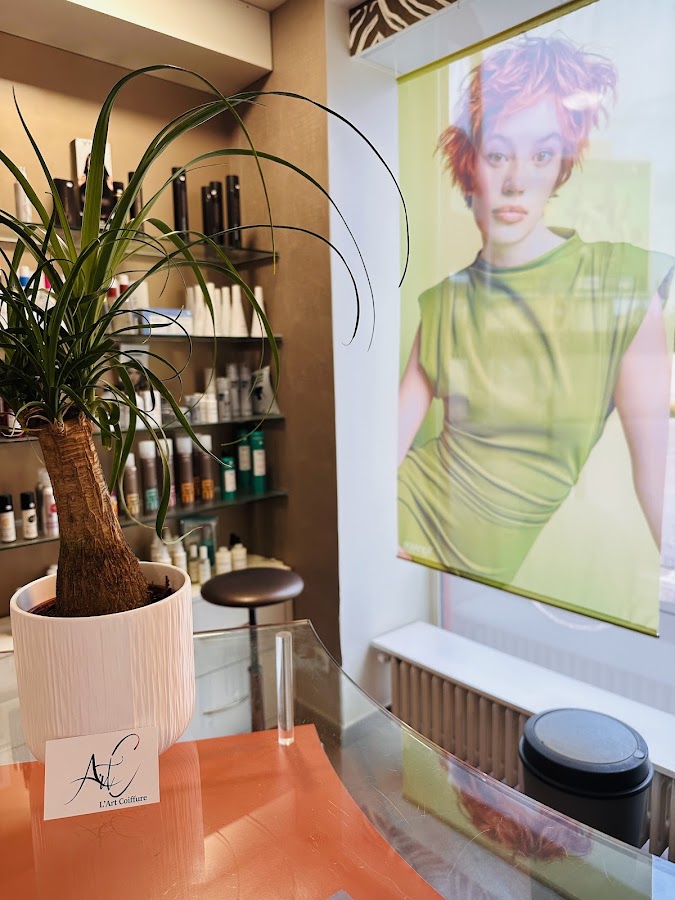 L'Art coiffure