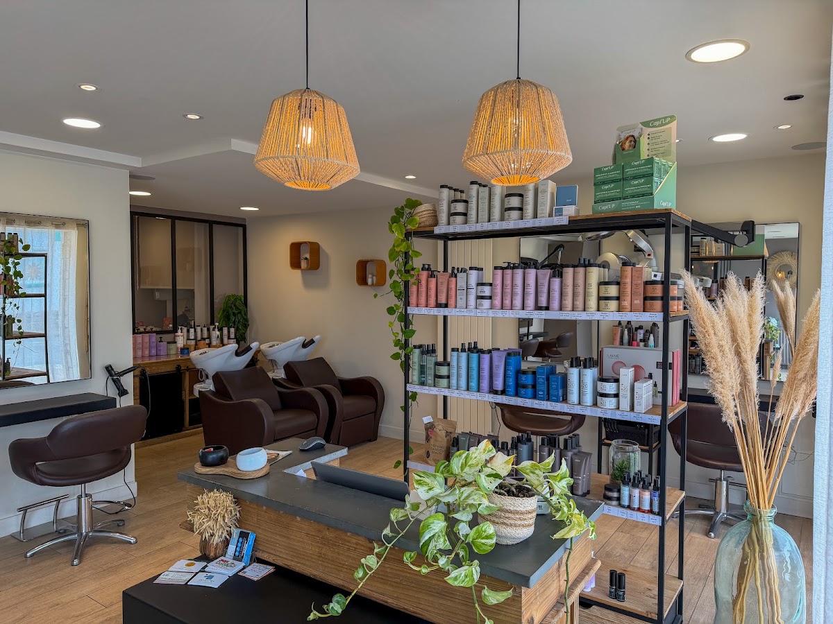 Au Salon