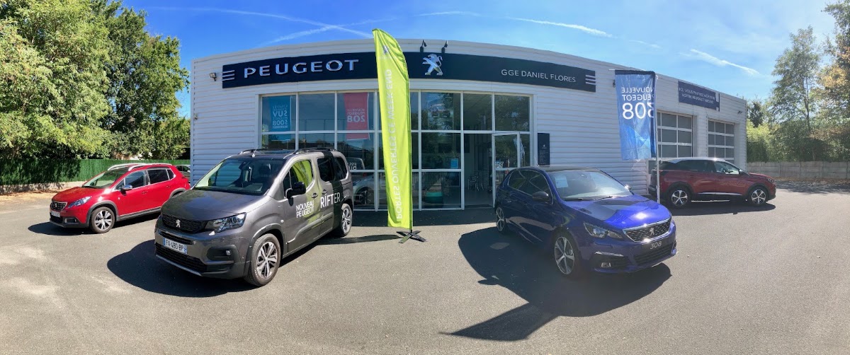 GARAGE DE L'AUTOMOBILE