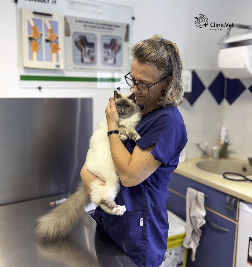 ClinicVet vétérinaire Auffay