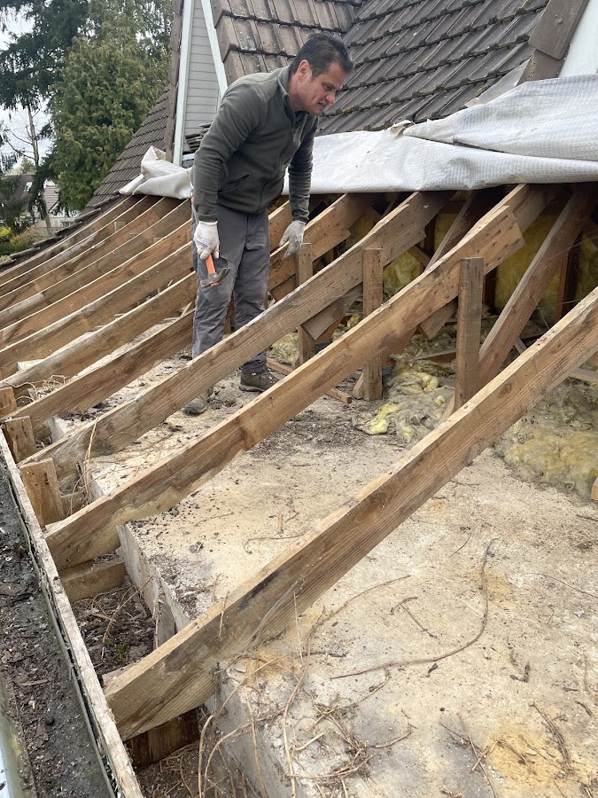 Renovation D.P