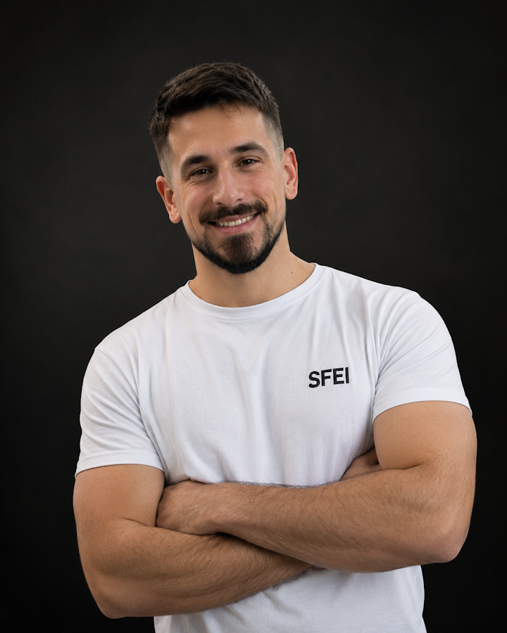 SFEI Électricité