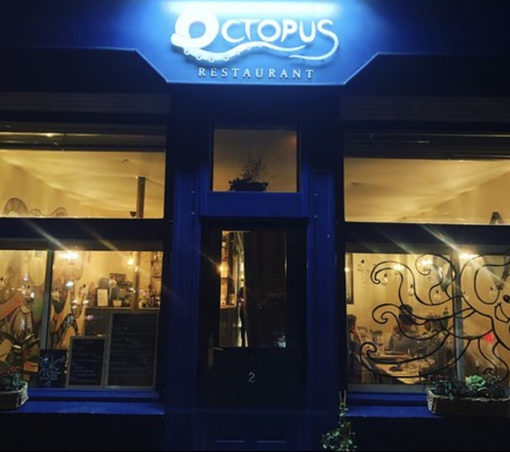 Octopus